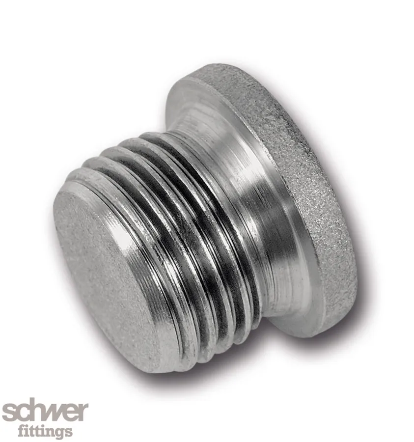 Hexagon Socket Pipe Plug