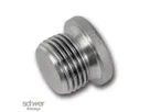 Hexagon Socket Pipe Plug