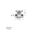 Two Piece Ball Valve