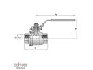Two Piece Ball Valve