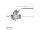 Two Piece Ball Valve 2000 psi