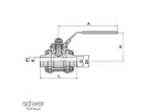 Three Piece Ball Valve