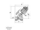 Shut Off Valves with Pneumatic Actuator