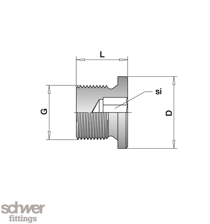 Hexagon Socket Pipe Plug