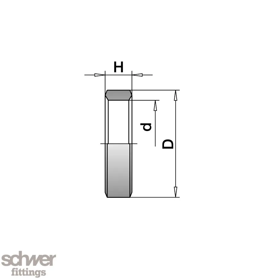 Sealing Ring