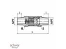 Check Valve (NPT)