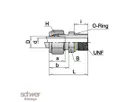 Male Connector SAE / MS