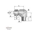 Male Elbow
