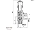 Proportional Relief Valve (NPT)