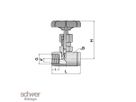 Needle Valve