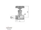 Needle Valve