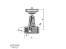 Needle Valve
