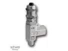 Proportional Relief Valve (NPT)